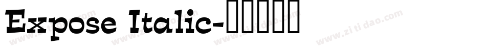 Expose Italic字体转换